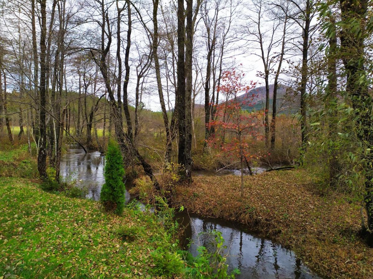 Vodenica Vrelo Chalets Vrelo Koreničko Екстериор снимка
