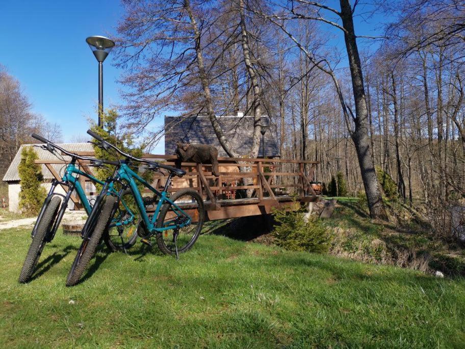 Vodenica Vrelo Chalets Vrelo Koreničko Екстериор снимка