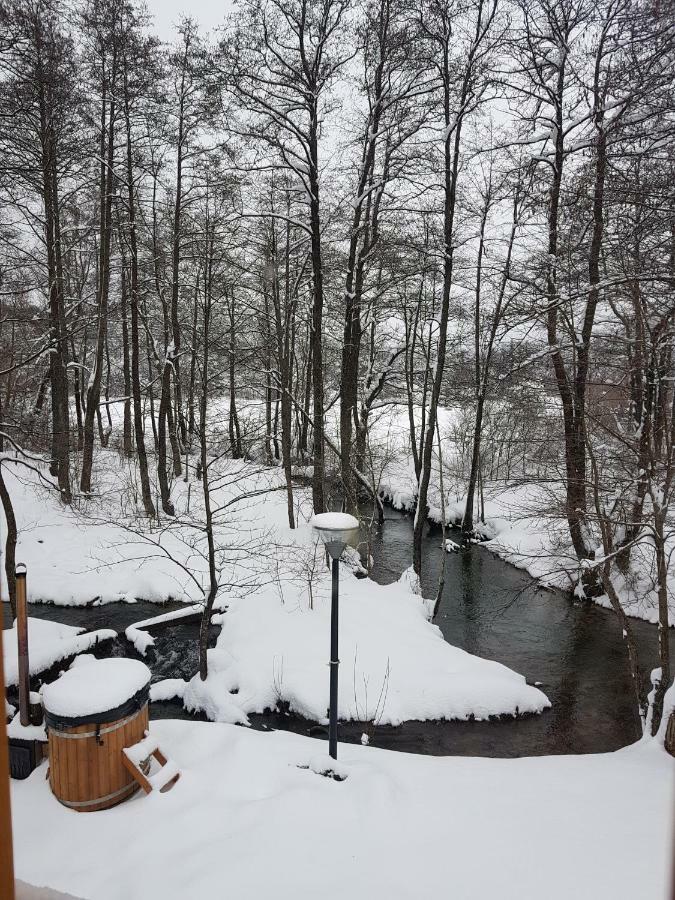 Vodenica Vrelo Chalets Vrelo Koreničko Екстериор снимка