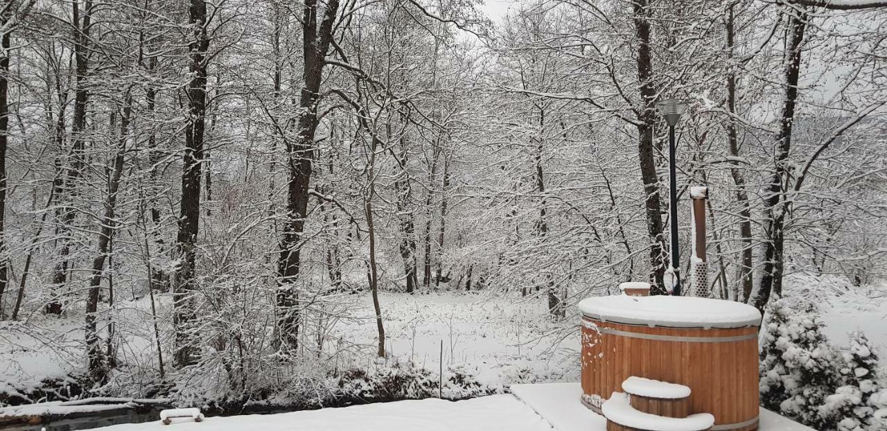 Vodenica Vrelo Chalets Vrelo Koreničko Екстериор снимка